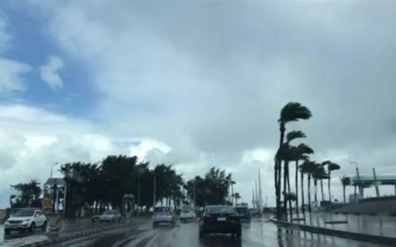 تحذير للمسافرين والمزارعين.. الأرصاد تكشف تفاصيل تقلبات طقس السبت 17 يناير 2026